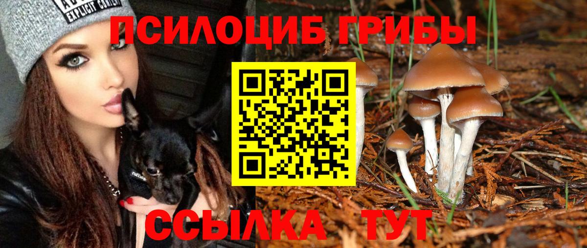 Галлюциногенные грибы мицелий Казань